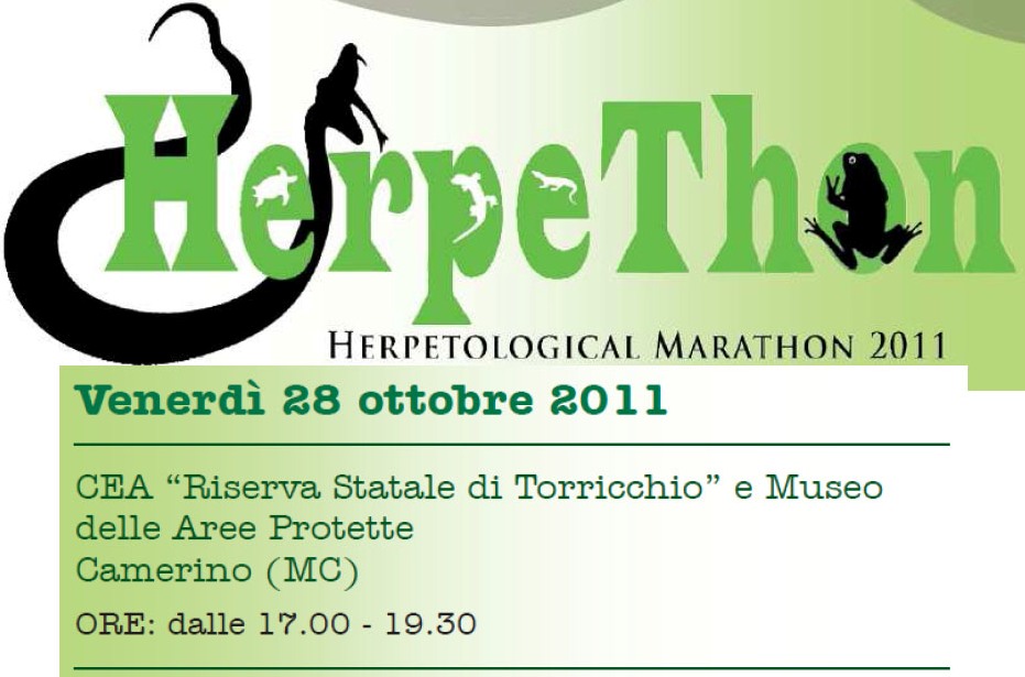 HerpeThon - Camerino (MC)